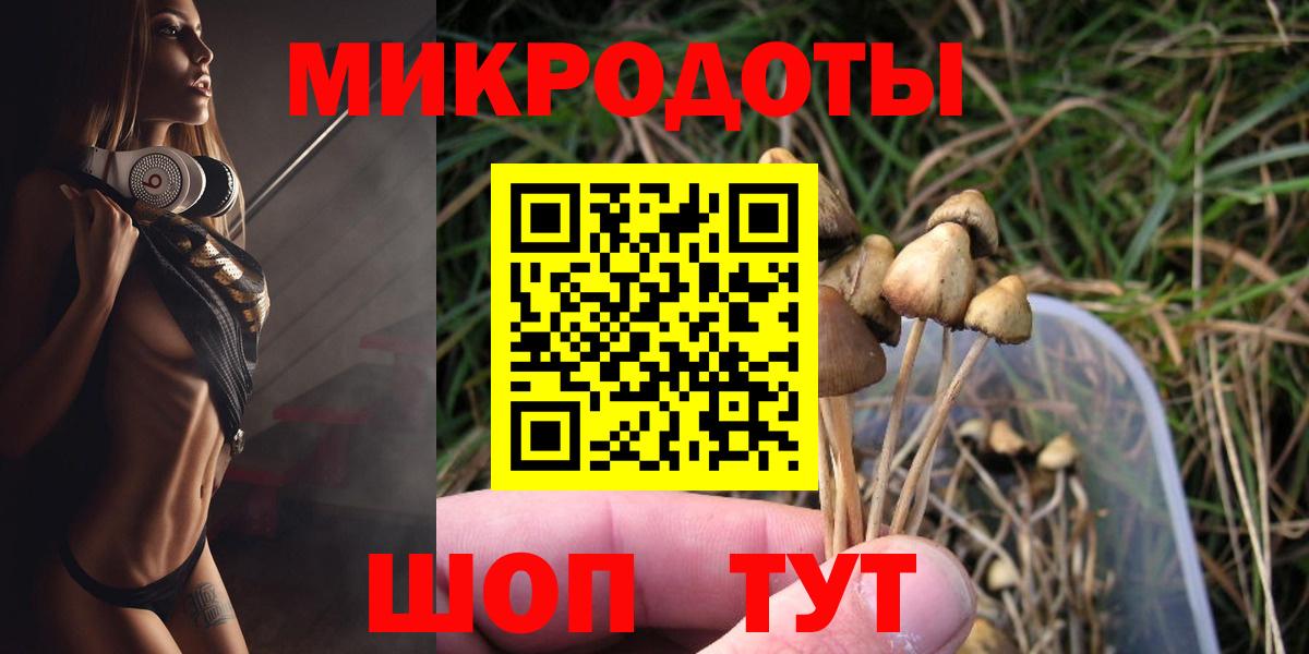 Галлюциногенные грибы GOLDEN TEACHER  Вход с VPN  Шахты 