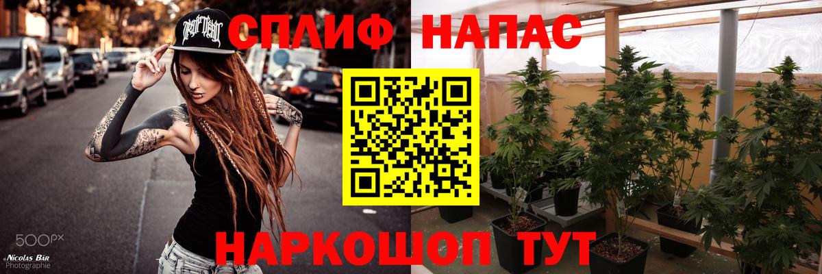 Марихуана план  Марихуана ГИДРОПОН  Шахты  Вход с VPN 